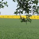 Schoene Mit Garten In Robertsdorf, Cleaning Included Blowatz