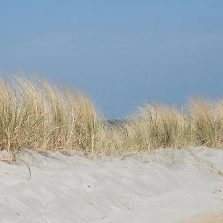 Schoene Mit Garten In Robertsdorf, Cleaning Included 아파트