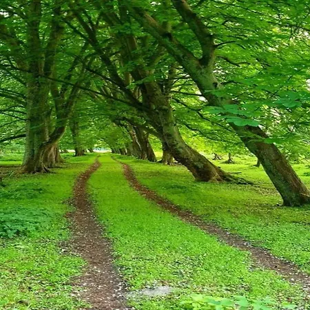 아파트 Schoene Mit Garten In Robertsdorf, Cleaning Included