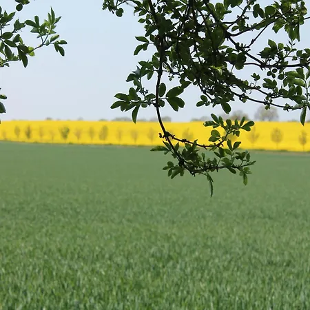 Schoene Mit Garten In Robertsdorf, Cleaning Included Blowatz