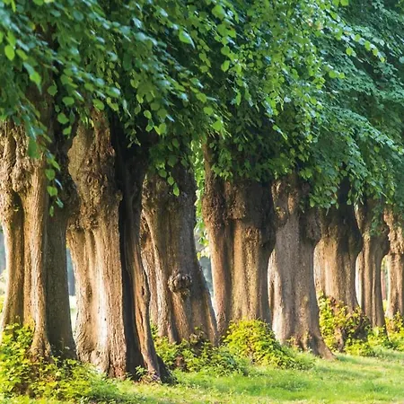 Schoene Mit Garten In Robertsdorf, Cleaning Included *
