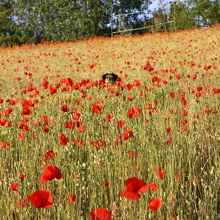 Schoene Mit Garten In Robertsdorf, Cleaning Included 아파트