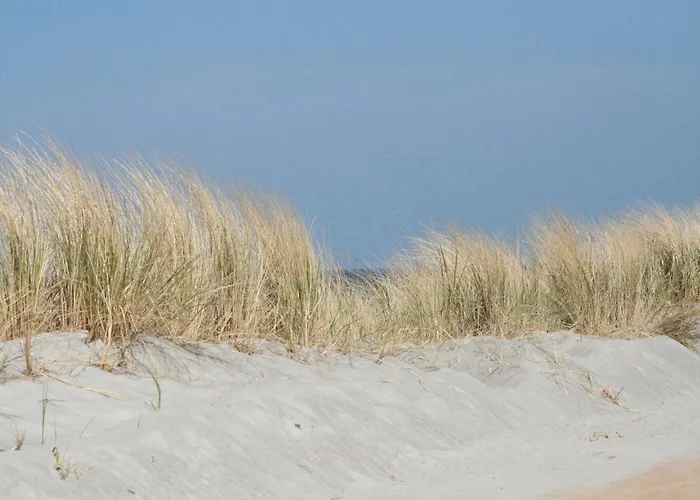 Schoene Mit Garten In Robertsdorf, Cleaning Included Daire