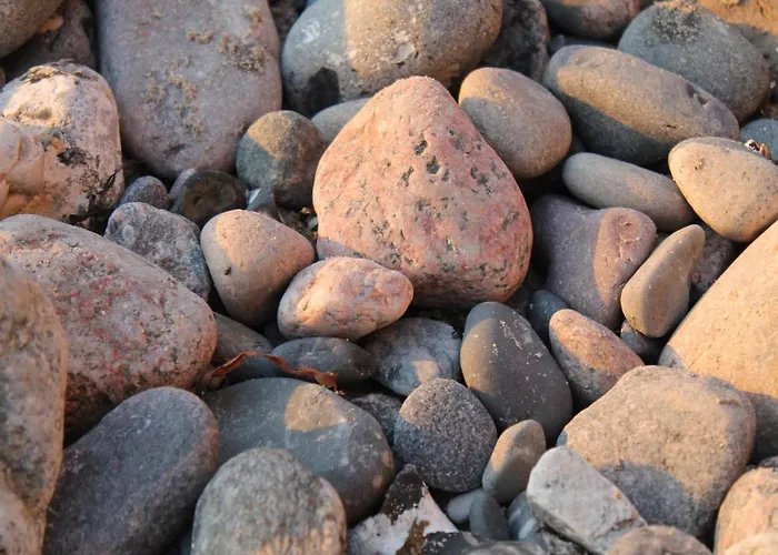 Schoene Mit Garten In Robertsdorf, Cleaning Included Daire