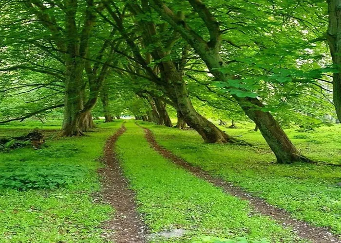 Daire Schoene Mit Garten In Robertsdorf, Cleaning Included