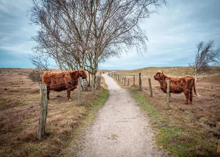 Schoene Mit Garten In Robertsdorf, Cleaning Included