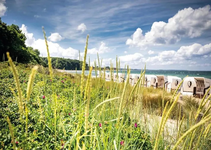 Apartamento Schoene Mit Garten In Robertsdorf, Cleaning Included