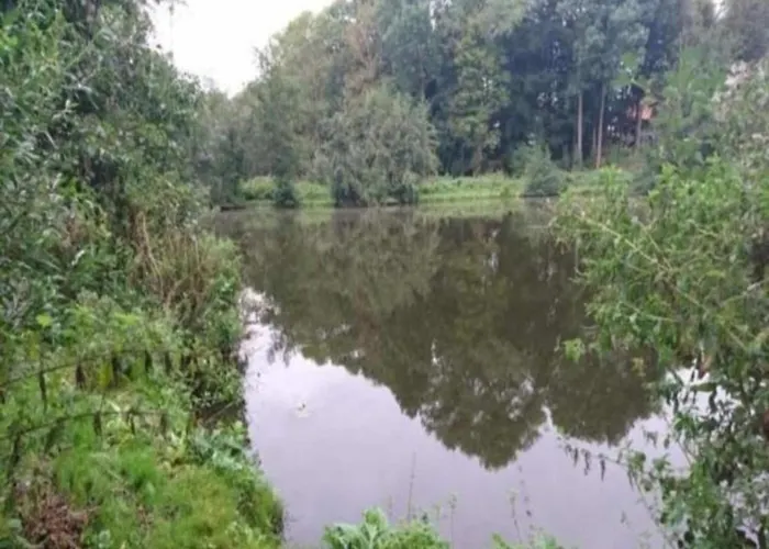 Schoene Mit Garten In Robertsdorf, Cleaning Included *